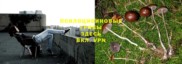 кокс Надым