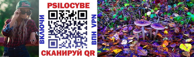 Галлюциногенные грибы ЛСД  Купить  Александровск-Сахалинский 
